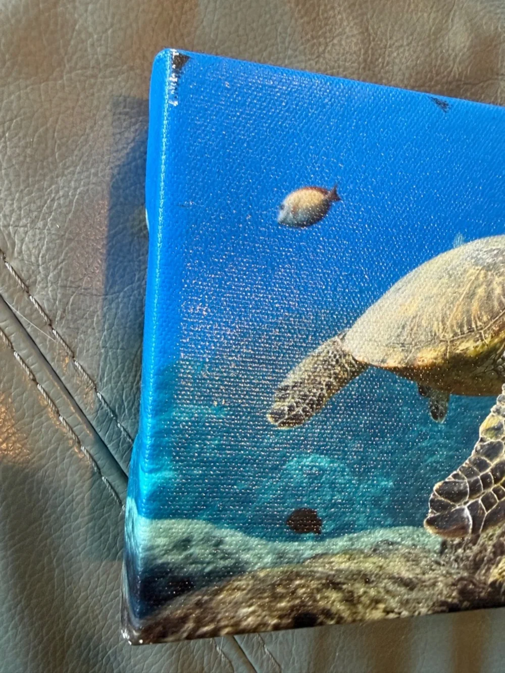 🟣 3/$30 - 7” x 5” Sea Turtle Ocean Canvas Wall Art - Picture 9 of 10